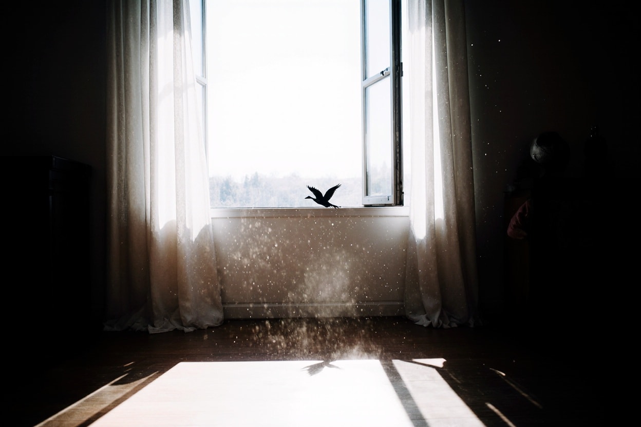 عصفور في غرفة  ai