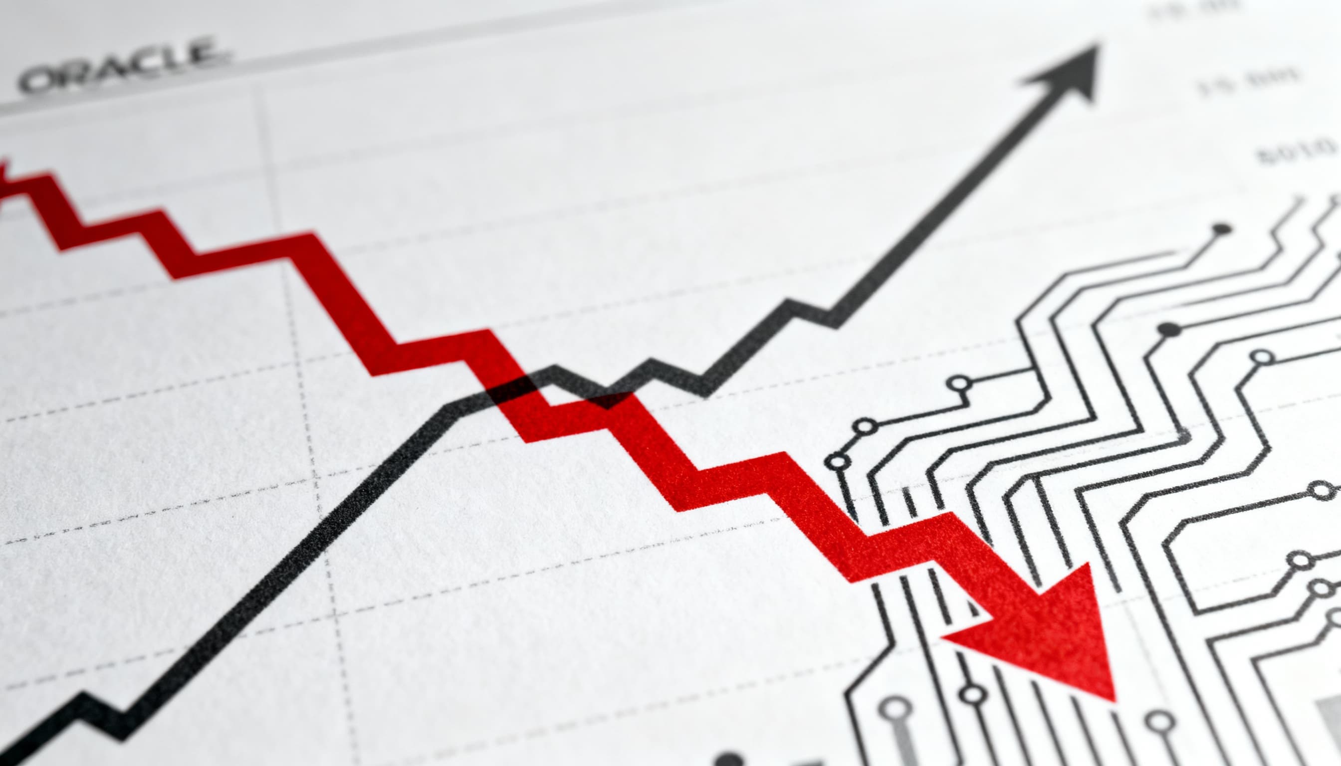 انهيار سهم أوراكل يمحو 130 مليار دولار… ولاري بايج يتجاوز إليسون