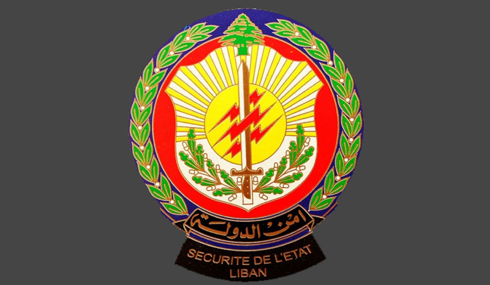 أمن الدولة يضبط مستودعاً في كسروان يحوي مواد منتهية الصلاحية