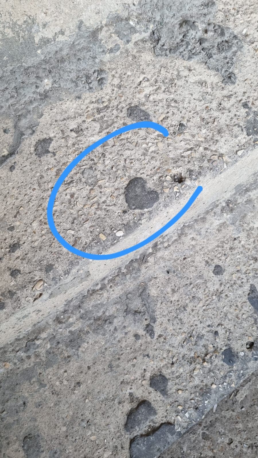 قلبٌ من دَرَج